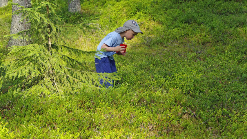 En pojke i skogen.