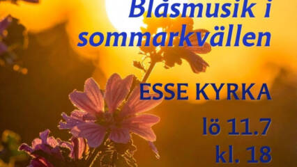 Solnedgång, blå blomma