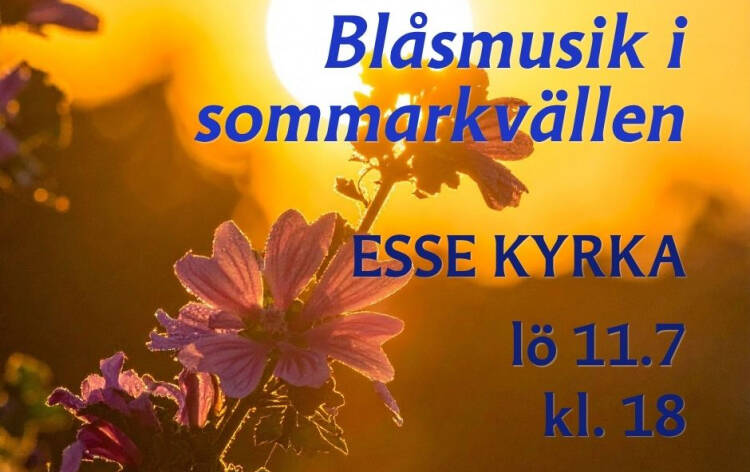Solnedgång, blå blomma