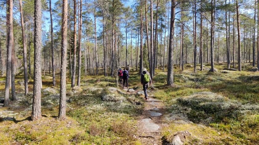 Vandrare i skogen