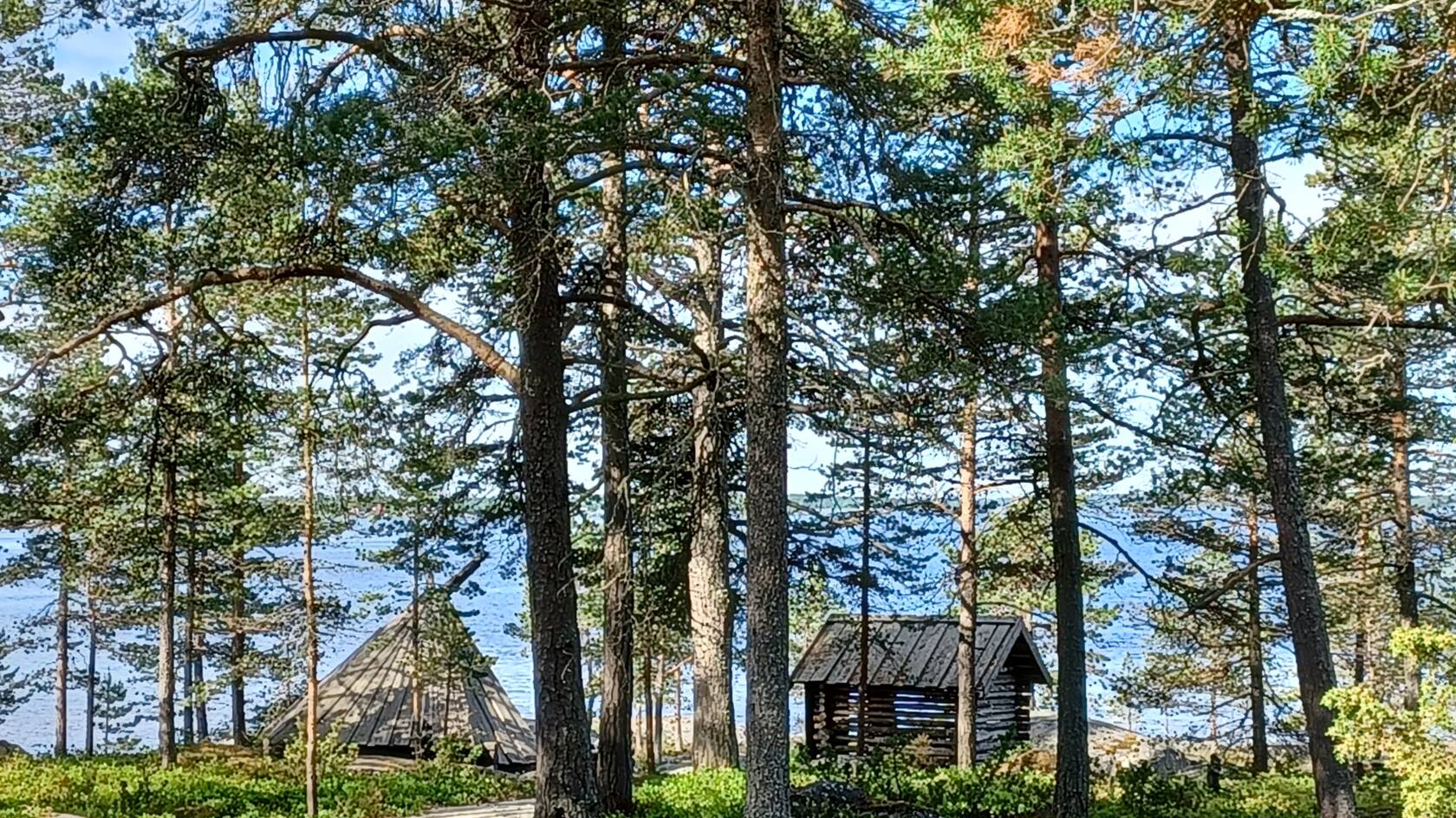 Merilän merenrantaa ja metsää, laavu.