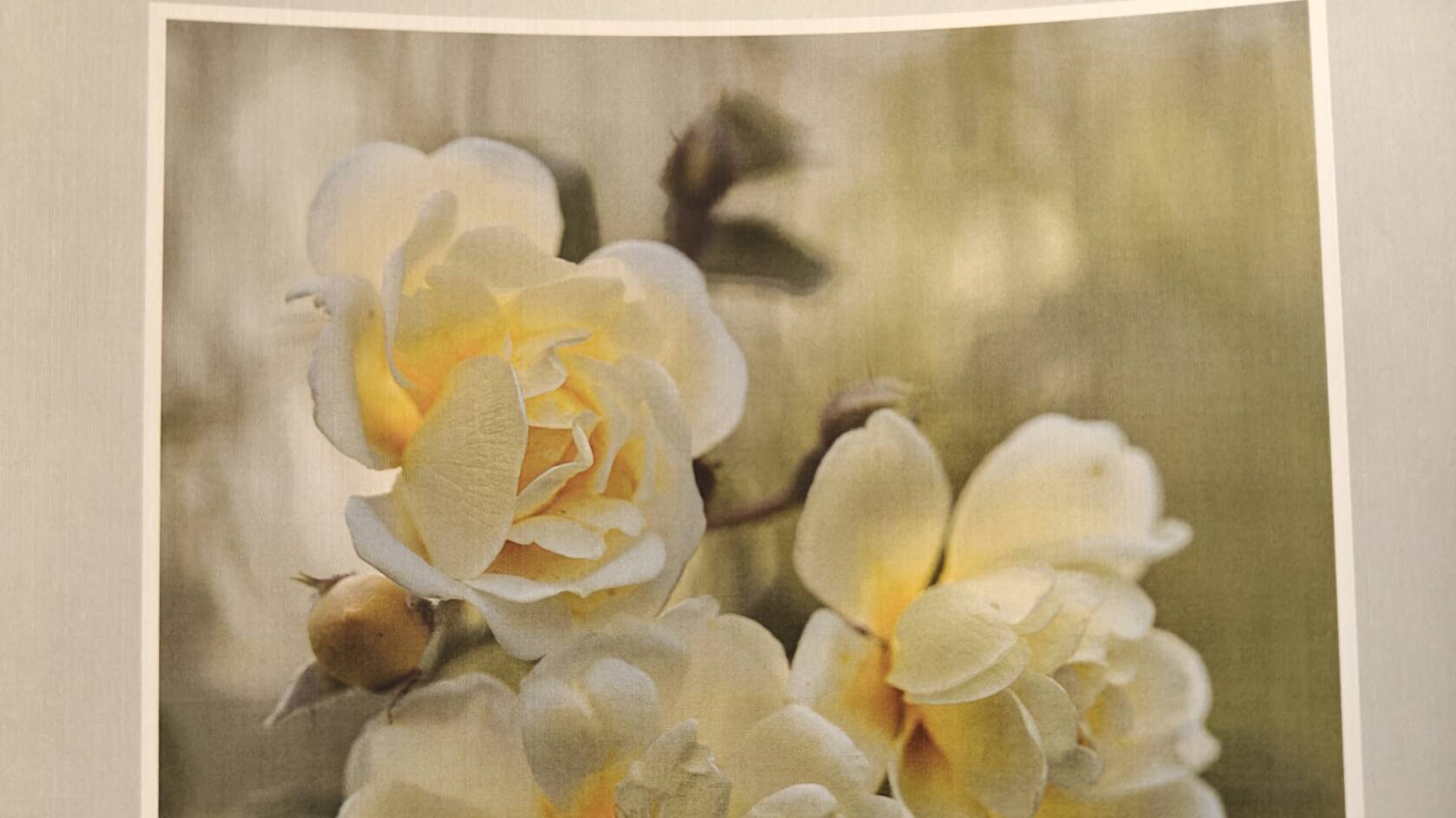 Minnesadress med blomma