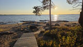 Kvällssol vid havsstrand, öppet hav. Träspång ut till klipporna i förgrunden