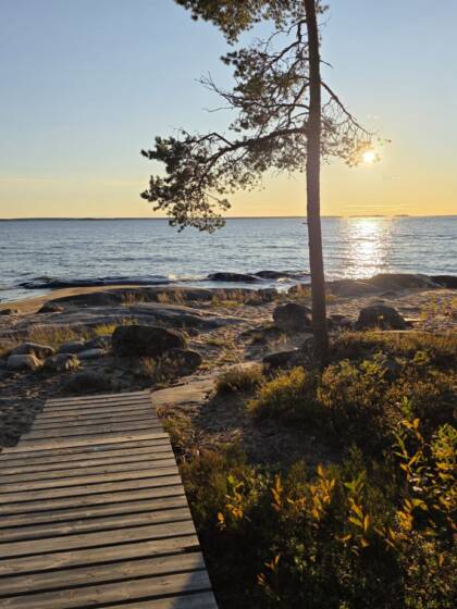 Kvällssol vid havsstrand, öppet hav. Träspång ut till klipporna i förgrunden